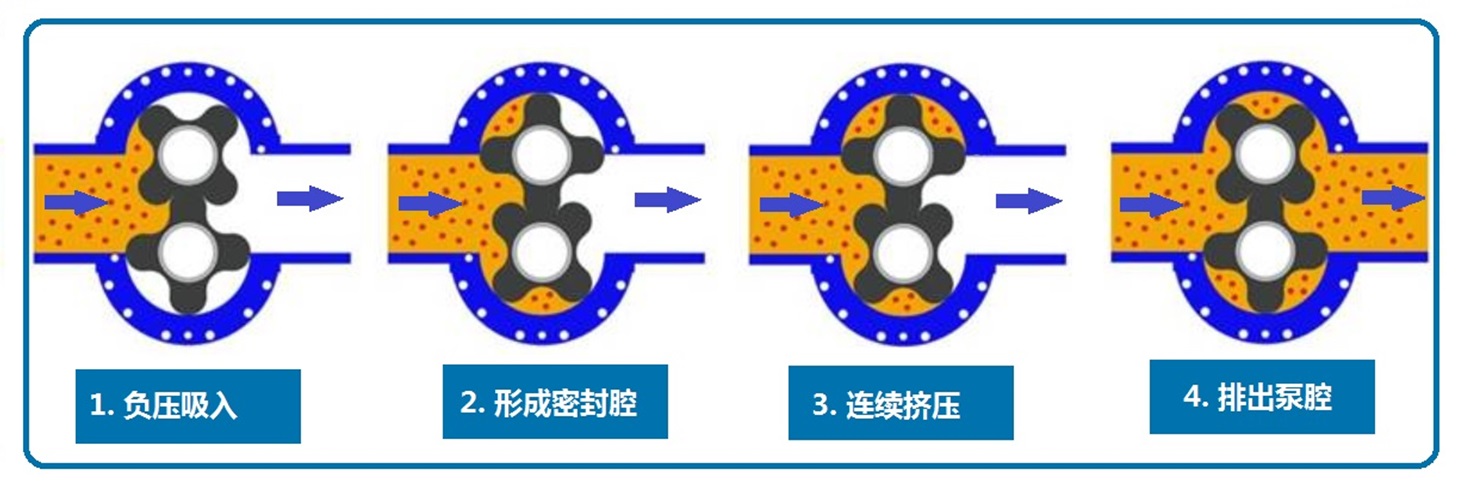 轉子泵工作原理1.jpg